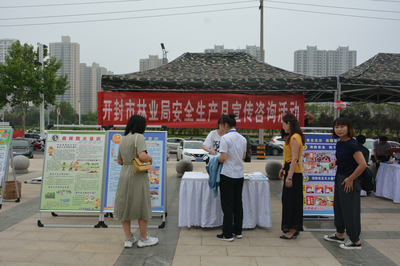 開封市林業局積極開展“安全生產咨詢日”咨詢現場與服務創新傳遞綠色安全理念